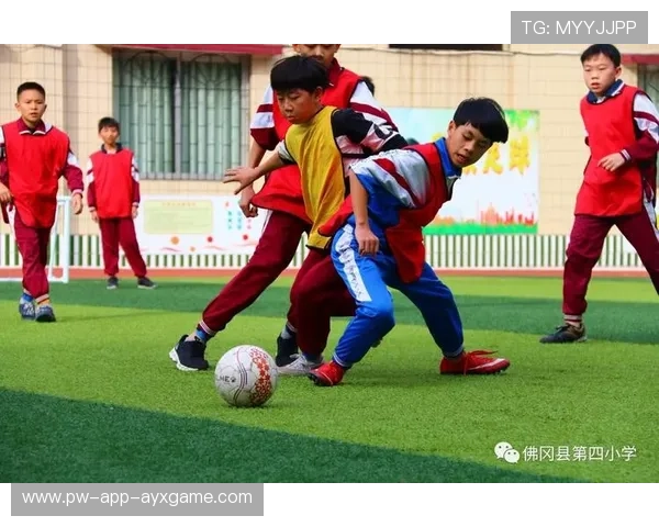 四川晋级四强：一场体育精神与梦想的较量